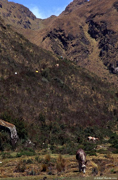 inka06_dead_women_pass