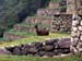 machupicchu03